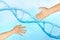 Two hands, dna structure helix, deoxyribonucleic acid, nucleic acid molecules, human genome research method, development science,