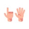 Two hands flat illustration. Open palm and pointed finger icons