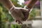 Two hands holding each other wearing sanitary gloves. Close up