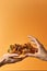 Two hands holding a sandwich with fried chanterelles, on orange background. Roasted wild mushrooms on a toast. Generative AI