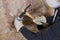 Two hands holding tools against old brick wall