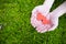 Two hands holding two red hearts on green grass.