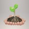 Two Hands holding young plants on the soil. Plant in hand on white background. Plant sapling on hand Font view. Eco, earth day,