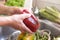 Two hands of an old lady clean and wash the raw peppers. Healthy food to stay in shape and for vegan and vegetarian people