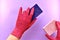 Two hands in rubber gloves delicately hold their cellulose porous washing sponges, pink and purple.