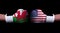 Two hands of wearing boxing gloves with USA and Wales flag. Boxing competition concept. Confrontation between two countries