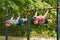 Two handsome man in back lever position doing calisthenics training street workout outdoors: