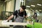 Two handsome young men working in lumber workshop