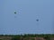 Two hang gliders under blue sky, Lleida, Spain, Europe