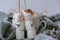 Two happy funny marshmallow snowmen. Marshmallow friends. Diy. Sweet treat for kids funny marshmallow snowman. Christmas