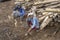 Two happy indonesian workers rest after earthworks in Ubud, island Bali, Indonesia