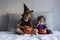 two happy little sisters having fun at home wearing halloween costumes and pumpkins. Trick or treat. Home, indoors. Lifestyle