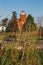 Two Harbors, Minnesota  lighthouse, with grassy reeds in foreground