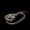 The two headed Japanese rat snake, Elaphe climacophora, on black