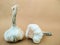 Two heads of garlic lie on a beige paper background