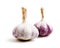 Two heads of ripe garlic on a white background