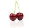 Two heart shaped cherry berries