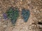 Two hearts on a natural stone wall, arta, mallorca