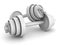 Two heavy athletic dumbbells on white background