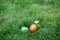 Two Hidden in the grass Easter eggs, which are painted in different colors