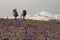 Two hikers with backpacks and chihuahua dog scenic photography