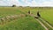 Two Horse Riders On A Light Brown And A Bay Horse Moving Across The Farm Field