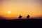 Two Horse Riders on Silhouetted on Sunset Field, Beautiful Peaceful Sport Landscape