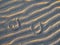 Two horse shoe imprints on a warm sand illuminated at sunset. Warm tone. Horse riding sport concept
