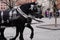 Two horses carriages at Old Town Main Square in Krakow, Poland, a gothic symbol of the city