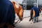 Two horses dressed in blue warm horse blankets are walking one after the other on a farm on a cold sunny day. Equestrian sports.