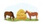 Two horses eat hay from the trough on the farm. Country pet. Isolated character on a white background. Vector