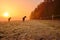 Two horses near by forest during wonderful misty sunrise in november