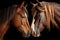 two horses nuzzling each others noses