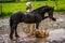 Two horses play in the puddle.