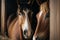 two horses in a stable in a stall illustration Generative AI