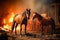 Two horses standing in a stable and fighting with fire in the background. Generative AI