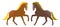 Two horses in symmetry, isolated on withe background.