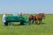 Two horses in team and tourists in front of reeds. Spring 2013.