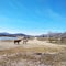 Two horses walking along the rocky river bank against the background of mountains and blue sky