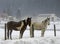Two Horses on a Winter`s Day