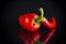 Two hot spicy cayenne peppers on black background