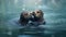 Two Huge and Cute Seal Animals in Ocean Seascape Blurry Background