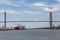 Two Huge Freighters in Savannah Harbor
