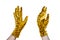 Two human hands in golden rubber medical gloves white background isolated closeup, doctor or nurse hands protection, gold gloves