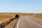 Two-hump camel stands on the road, Gobi Desert