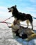 Two husky dogs in a team in the winter, relax.  Cute Siberian Husky dogs for sledge in winter.