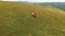 Two Hutsuls play musical instruments in the mountains.