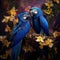 Two Hyacinth Macaw Anodorhynchus hyacinthinus blue parrot. big blue parrot Pantanal Brazil South America