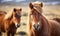 Two Icelandic Luscious-maned horses. Created with AI