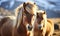 Two Icelandic Luscious-maned horses. Created with AI